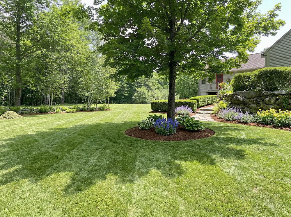 lawn-ai after